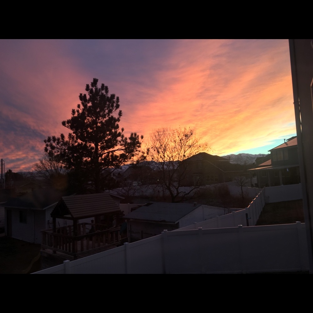 Meet your Posher, Laci